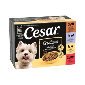 Cesar Selection in Salsa