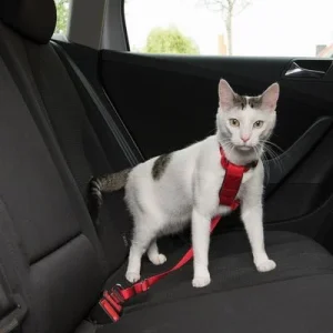 Cinturón de seguridad Trixie para gatos Rojo