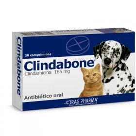Clindabone 165 mg – Antibiótico Oral para Perros y Gatos (20 unidades) - Image 2