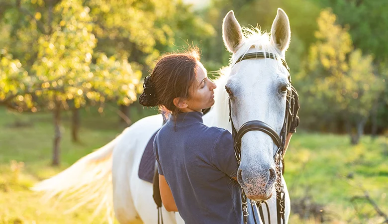 ¿Cómo ayudar a su caballo a recuperarse de una lesión?