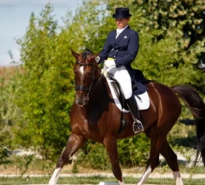 ¿Cómo preparar a tu caballo para una competición o evento?