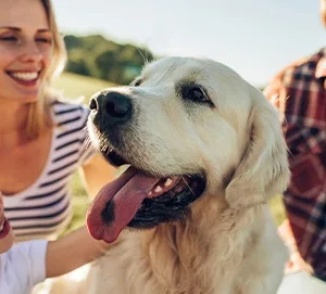 ¿Con qué frecuencia debes desparasitar a tu perro?