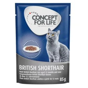 Concept for Life British Shorthair Adult en bolsitas 12 x 85 g