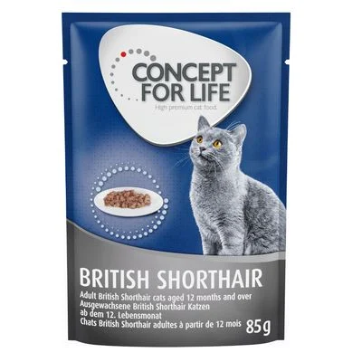 Concept for Life British Shorthair Adult en bolsitas 12 x 85 g