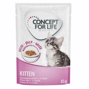 Concept for Life Kitten con pollo en gelatina 12 x 85 g