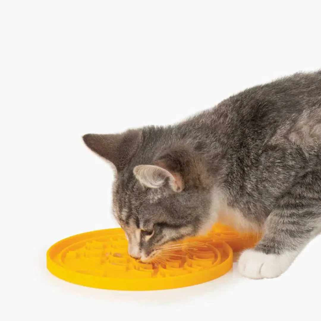 CREAMY CAT IT SALMON - Image 2