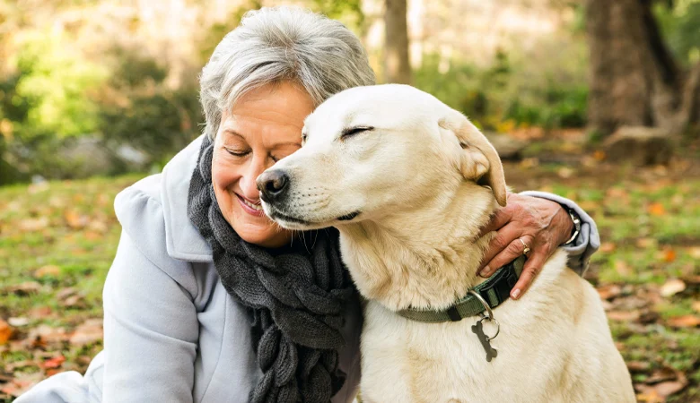 Demencia y envejecimiento cerebral en perros y gatos