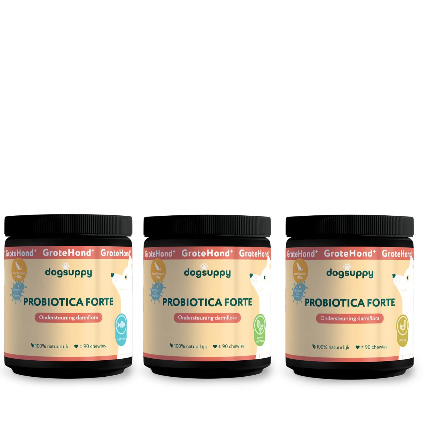 Dogsuppy Probiotica Forte Perro Grande