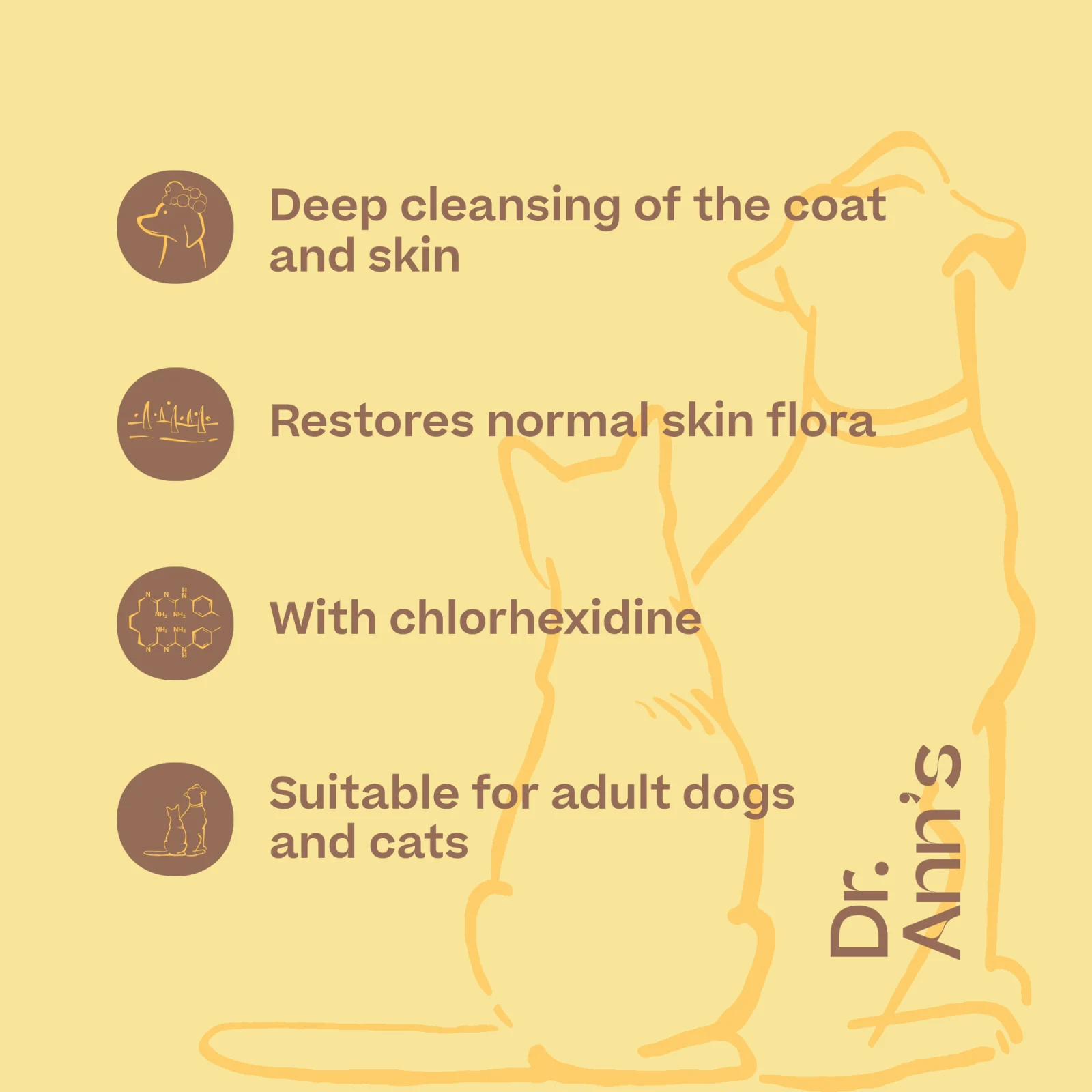Dr. Ann's Chlorhexidine Shampoo - Image 2