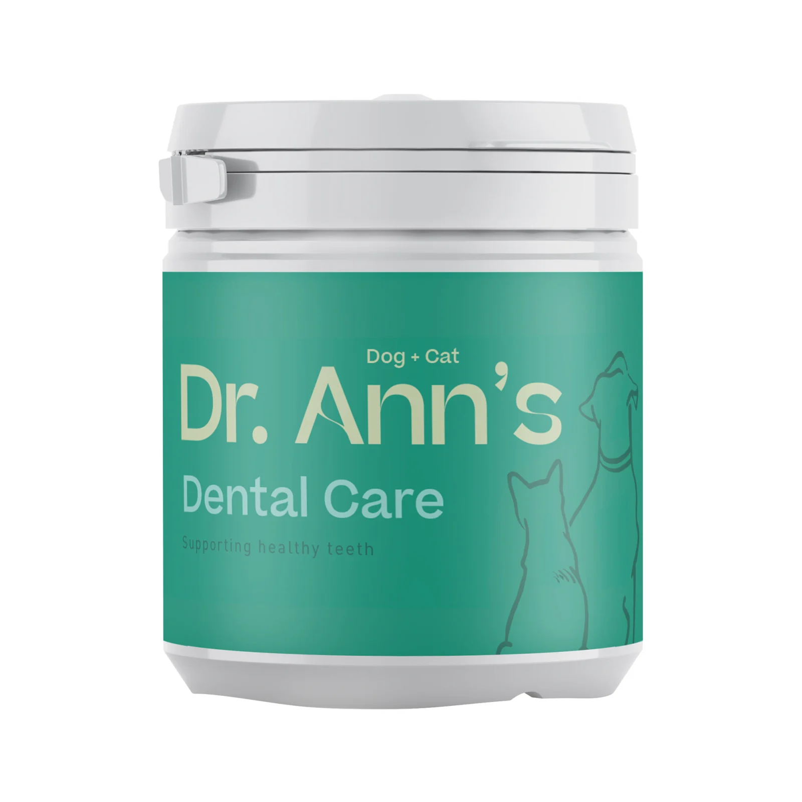Dr. Ann's Dental Care