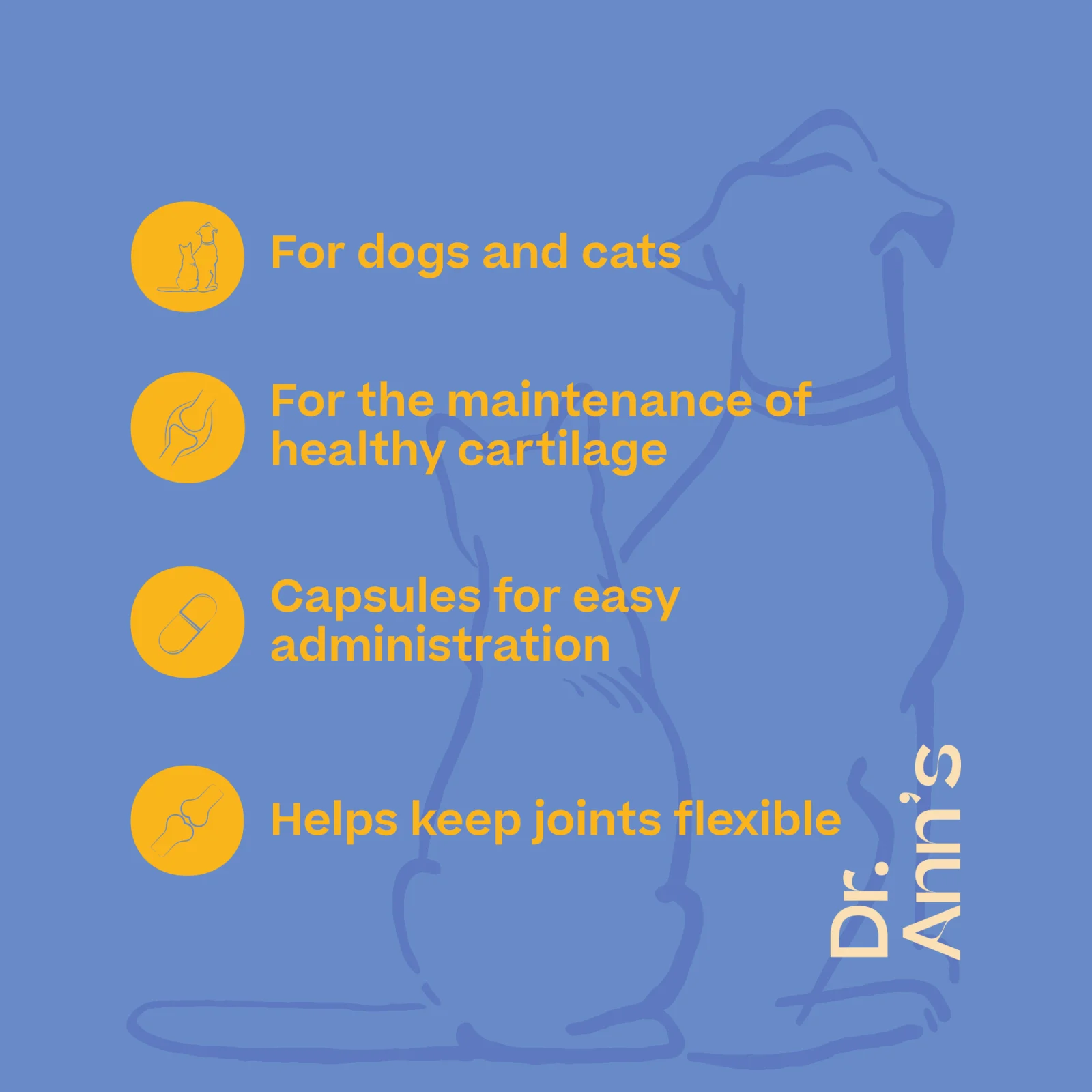 Dr. Ann's Mobility Support Plus - Image 2