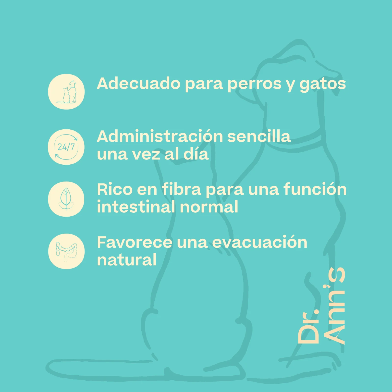 Dr. Ann's Probiotics - Image 2
