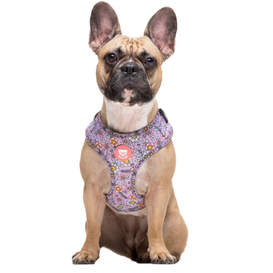 Dukier Flower Power Arnés Ajustable para perros - Image 2