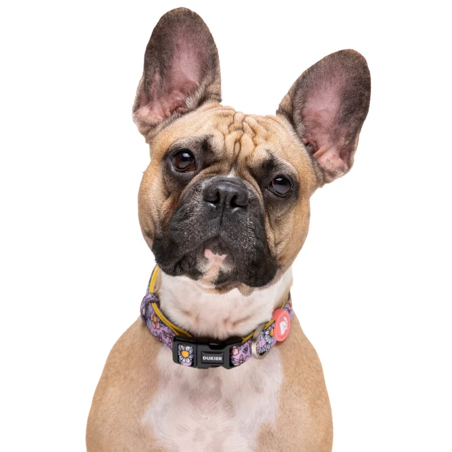 Dukier Flower Power collar para perros - Image 2