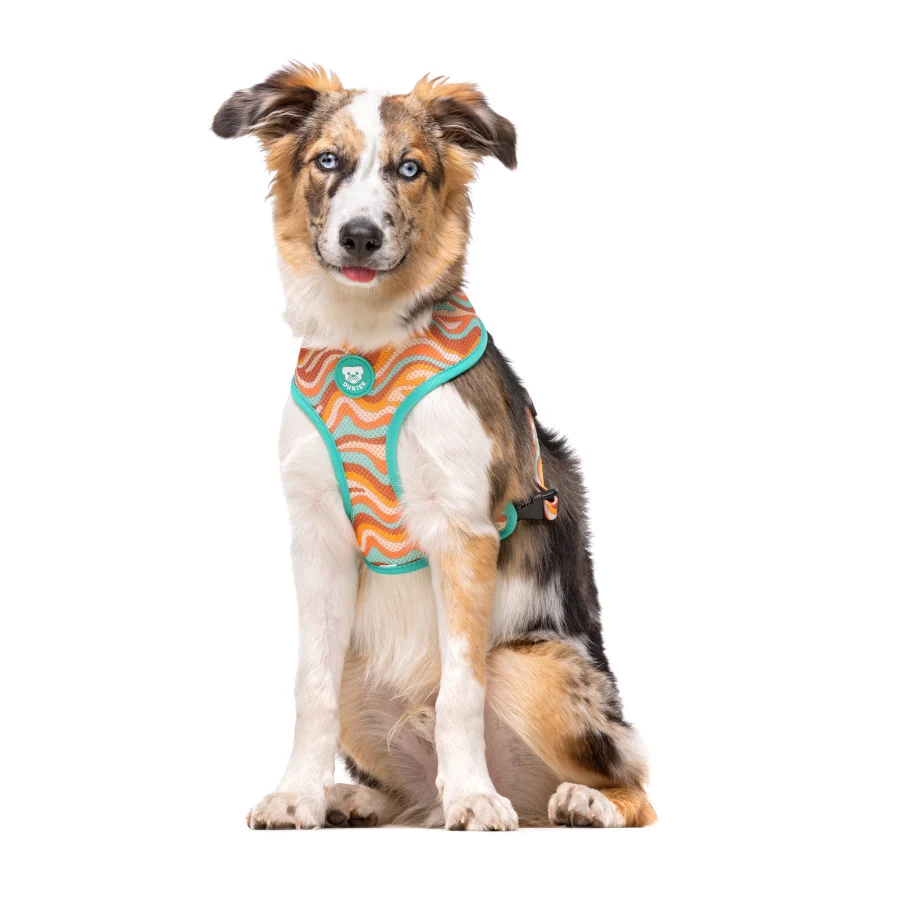 Dukier Peace Arnés Reversible para perros - Image 2
