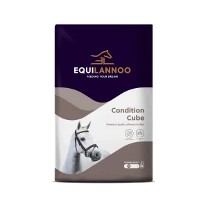 Equilannoo Condition Cube - Alimento para caballos