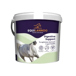 Equilannoo Digestive Support