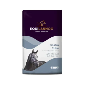 Equilannoo Gastro Cube - Alimento para caballos