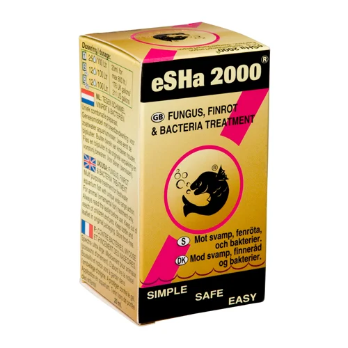eSHa 2000 - Image 2