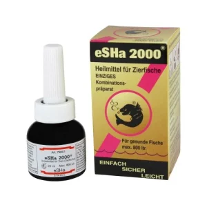 eSHa 2000