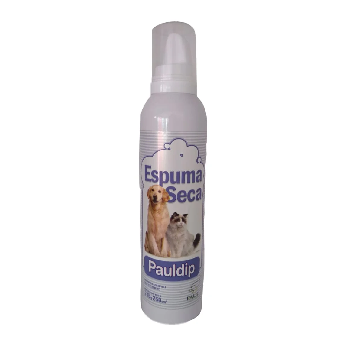 ESPUMA SECA PAULDIP 250 ML