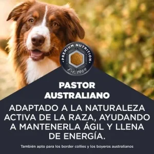 Eukanuba Breed Specific Australian Shepherds