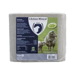 Excellent Bloque Mineral