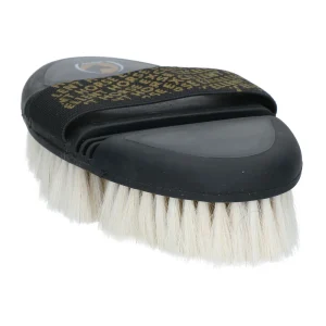 Excellent Flexi Brush Shine