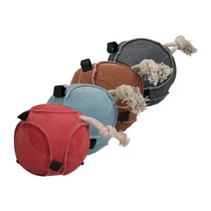 Excellent Horse Fun Play Ball Ante