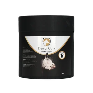Excellent Horse Dental Care