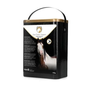 Excellent Horse Gastro Support