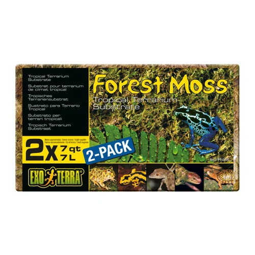 Exo Terra Forest Moss - Image 2