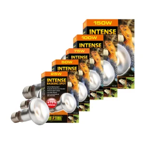 Exo Terra Tightbeam Spot de Calor Diurno