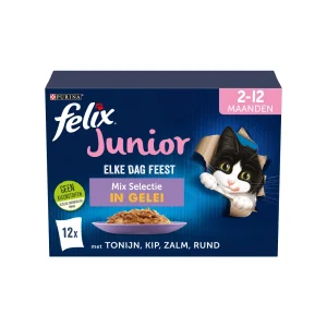 Felix Cada día es una fiesta Junior