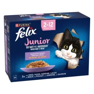 Felix Fantastic Junior en gelatina 12 x 85: pollo, vacuno, salmón y sardinas