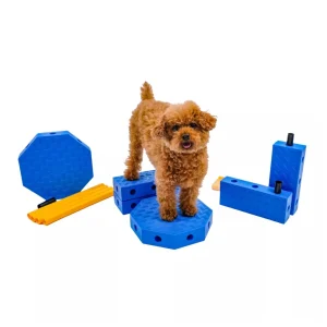 Fitpaws FitKinect Core