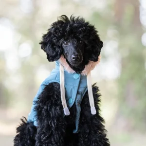 Freedog Abrigo Impermeable Iceguard Azul Cielo para perros