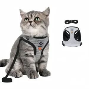 FurryFusion Arnés para gatos SG