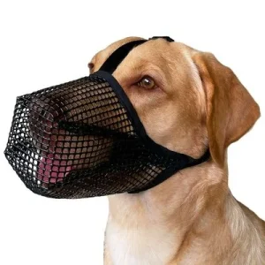 FurryFusion bozal para perros XS