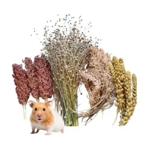 FurryFusion granos de cereal para hámster Artículo 1