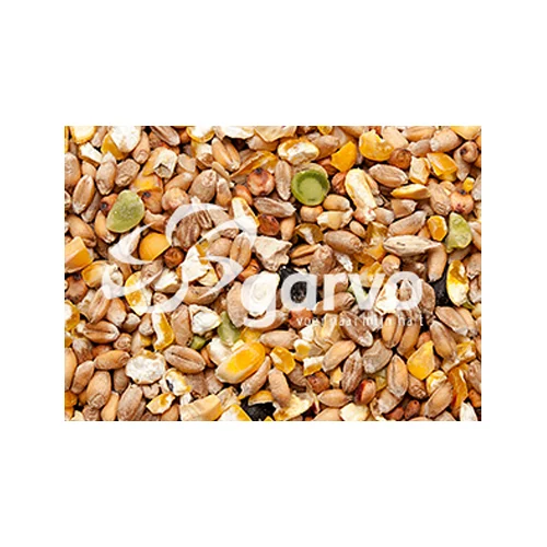 Garvo Cereales camperos (sin cebada) - Image 2