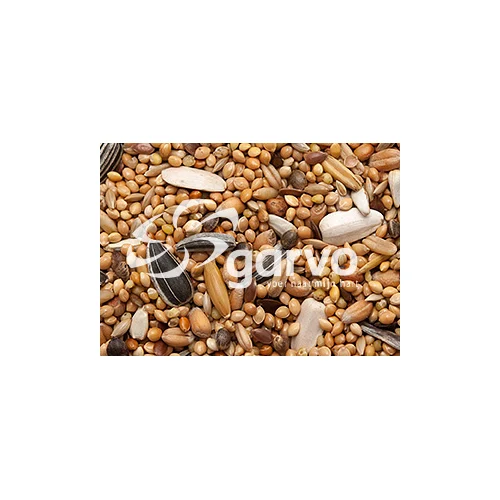 Garvo Grandes Semillas para Periquitos - Image 2