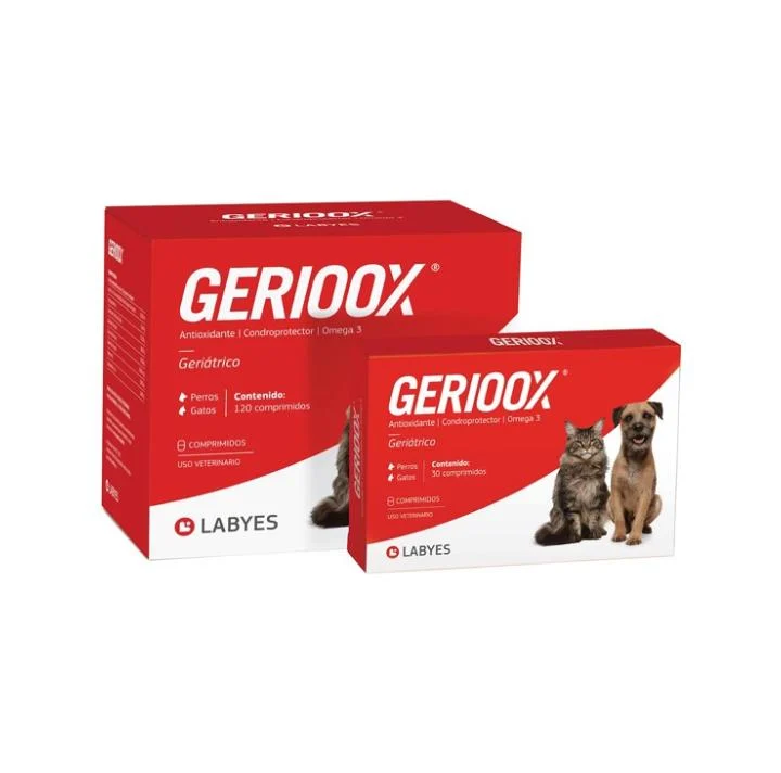 GERIOOX 10 COMPRIMIDOS