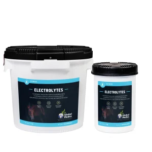 Global Medics Electrolytes Polvo