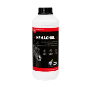 Global Medics Hemachol