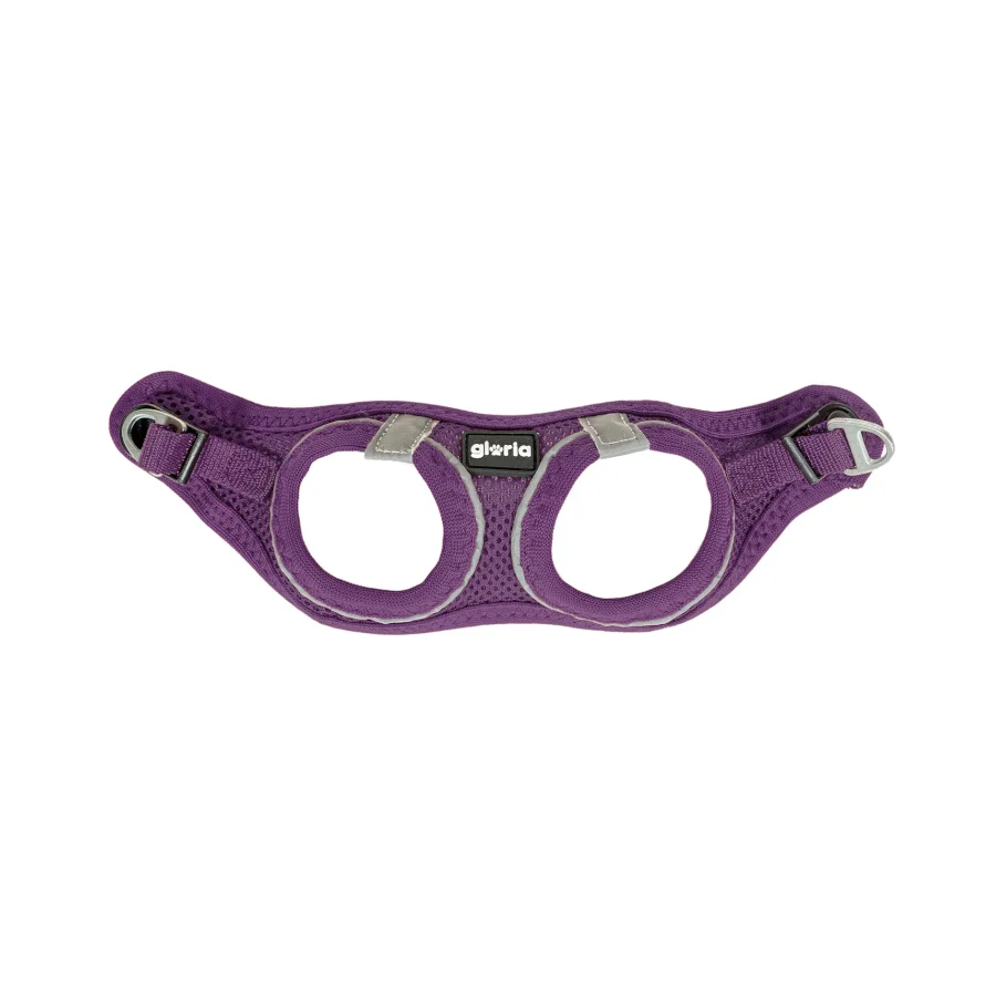Gloria Air Mesh Trek Star Arnés Morado para perros - Image 2