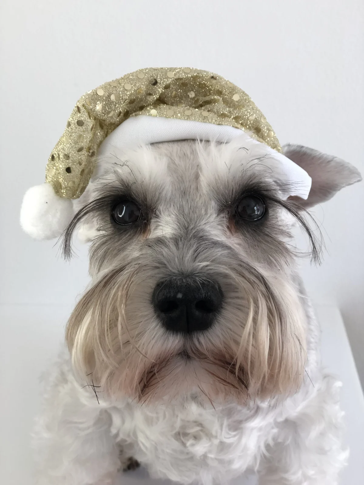 Gorro Navideño Dorado – L - Image 2