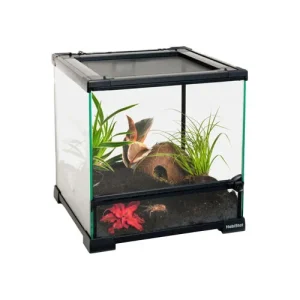 HabiStat Terrario de Vidrio Transparente