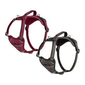 Halti Anatomy Harness