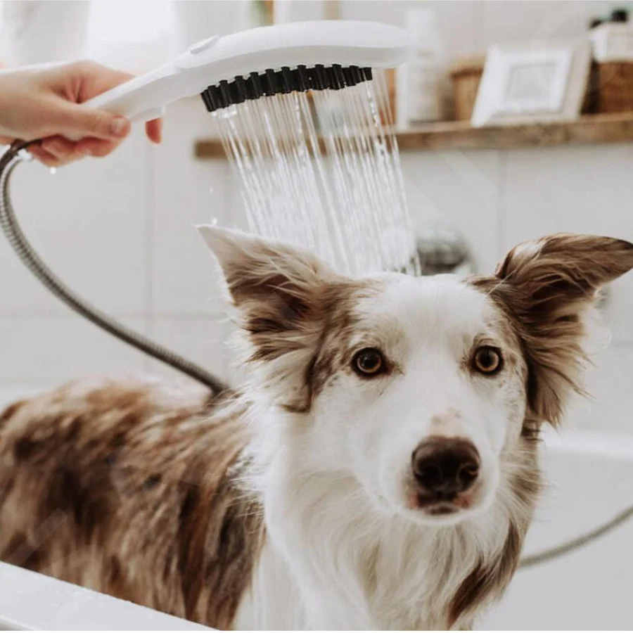 Hansgrohe Alcachofa de Ducha Blanca para perros - Image 2